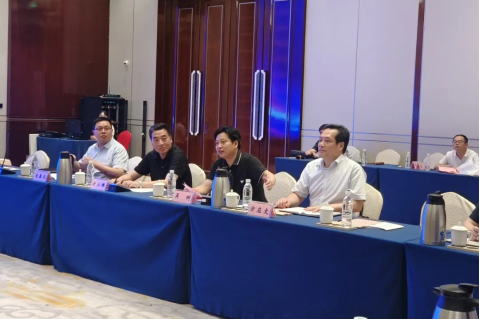 冰球突破-冰球电游豪华版_MG冰球游戏