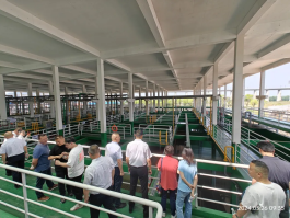 冰球突破-冰球电游豪华版_MG冰球游戏