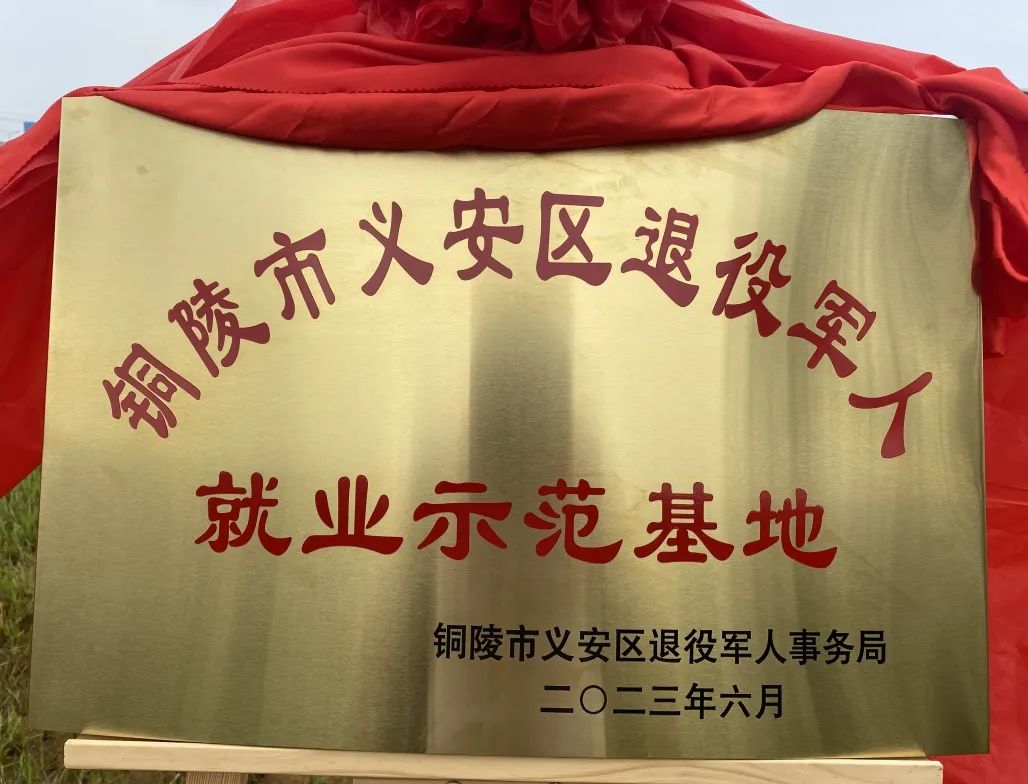 冰球突破-冰球电游豪华版_MG冰球游戏