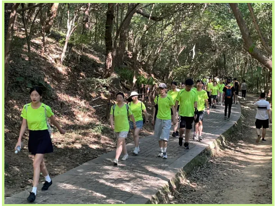 冰球突破-冰球电游豪华版_MG冰球游戏